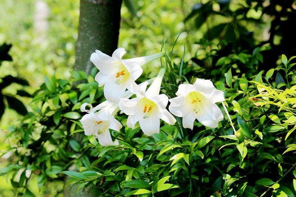 养老保险改革方案有什么变化？