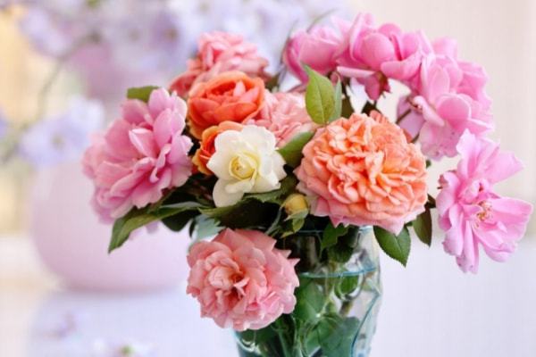 保险规划师的八大建议，你知道吗？