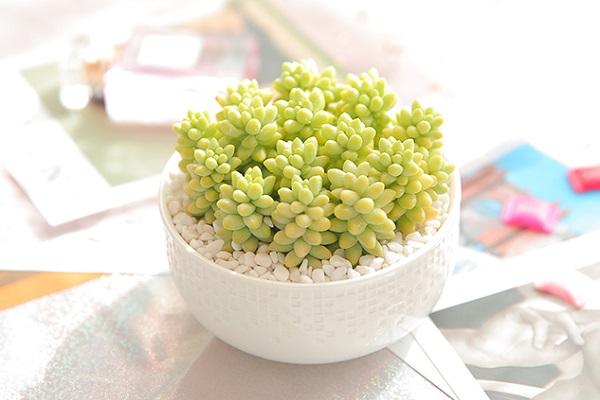 购买重大疾病保险的重要性——推荐一款重疾保险