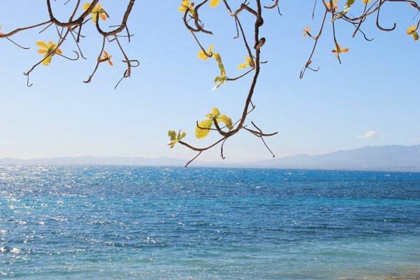 2018理赔年报出炉，你看到了啥？