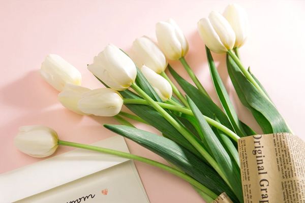 较好的重大疾病保险推荐