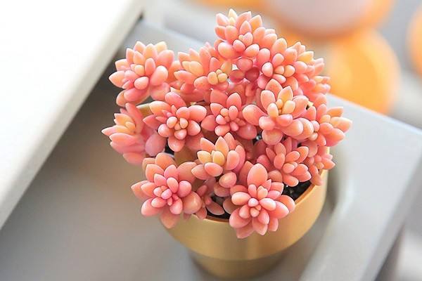 米保险少儿医疗保险推荐