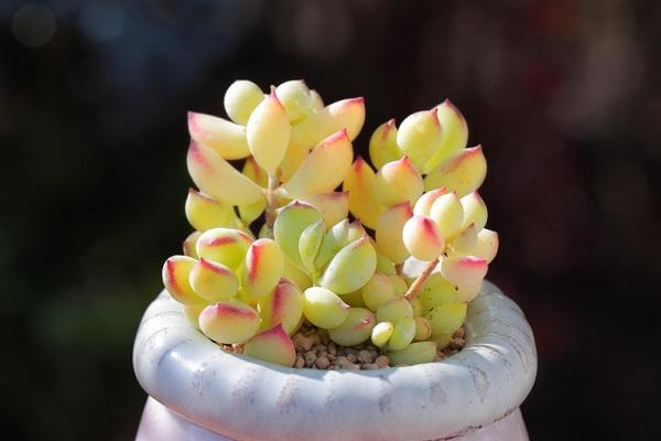 2018理赔数据告诉你，2019年保险这么买