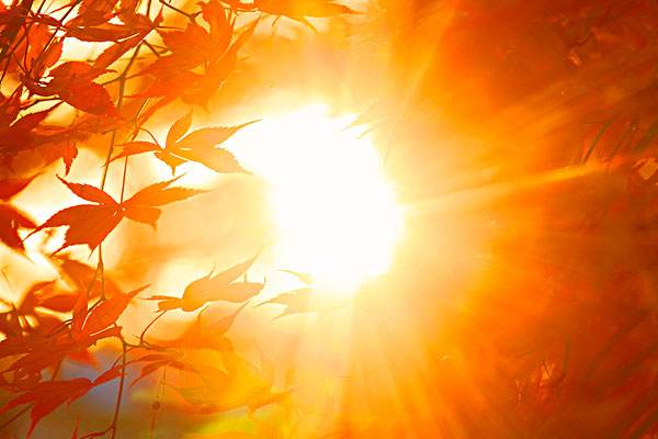 深圳少儿医保怎么办理？