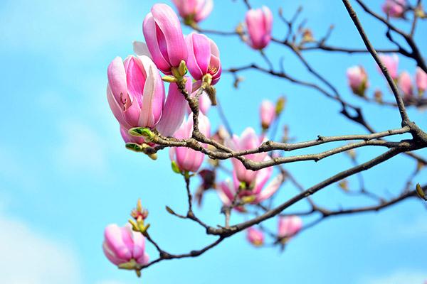 合肥儿童医保报销比例是多少？