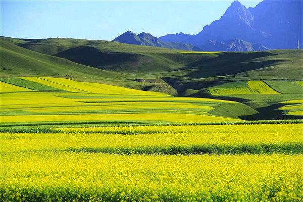 2018年上海少儿医保办理流程及少儿医保报销范围