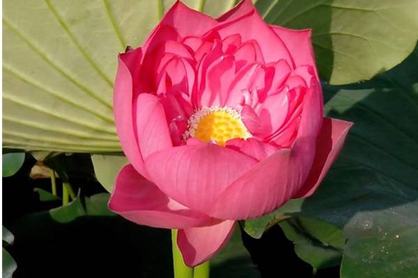 最强保险组合，想了解一下吗？