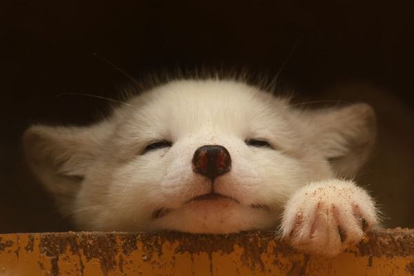 以后出门看病就医，再也不用手忙脚乱啦！