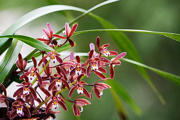 白领加班猝死等事件频发，职场健康问题需重视！