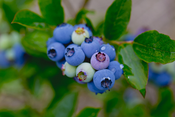 2019年意外险的基本知识以及适合老年人买的意外险有哪些？