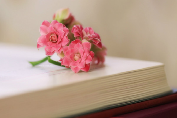 为什么理财要选择第三方理财机构而不是其他金融机构？