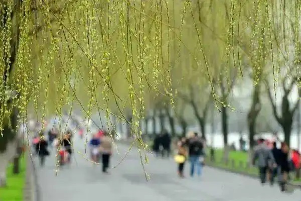 双方离婚后个人账户下的养老保险费还属于夫妻共同财产吗?