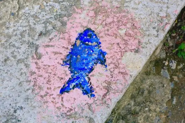 肥胖对购买保险有影响吗？