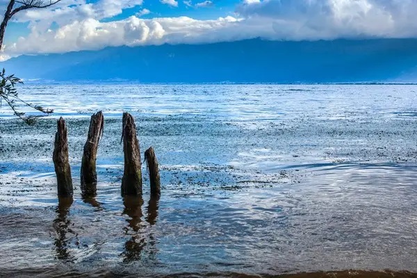 怎样选到合适的儿童重疾险？