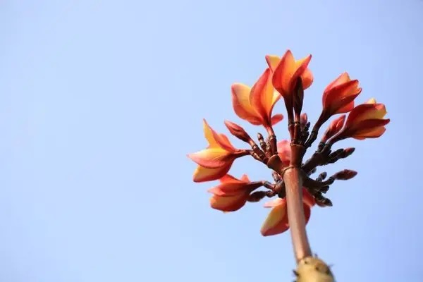 如何进行保单管理