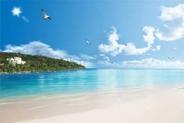 放弃社保？医疗费用到底该由谁埋单呢?