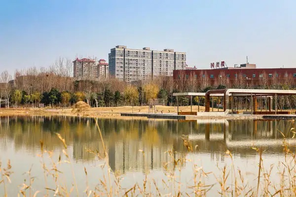 附加险有什么隐患吗？