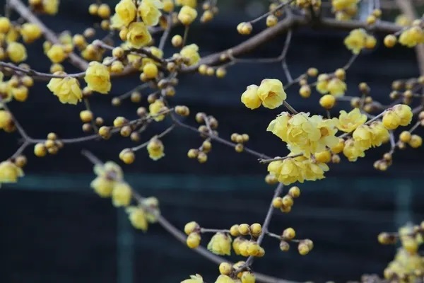 教你如何经济划算地买车险？