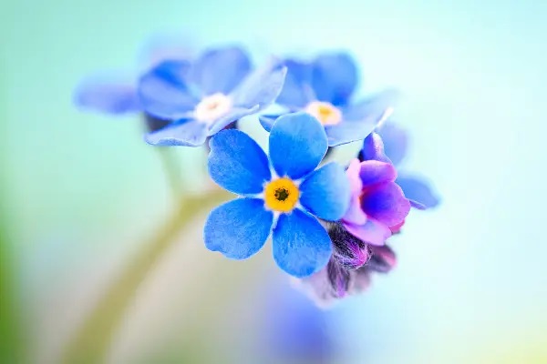 抉择短期险与长期险的风险分析