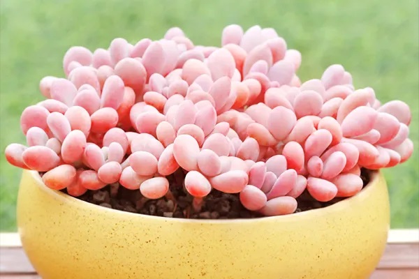 保费期限如何选择？现在就教会你（上）