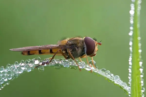 带你了解你不认识的保险事故通知