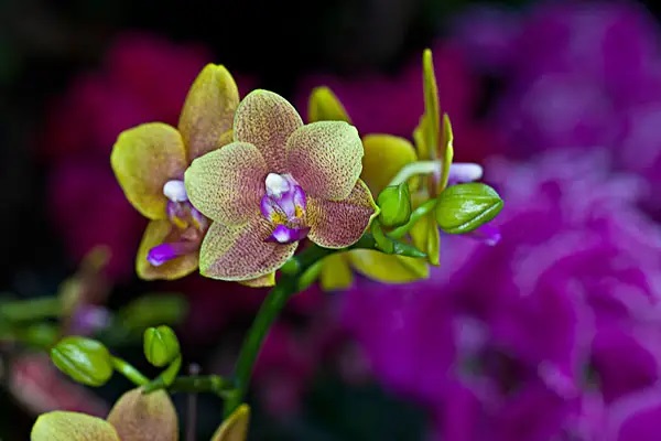 社保和工资到底怎么算？