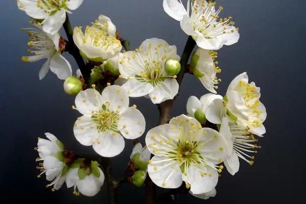 沉默的杀手——骨质疏松