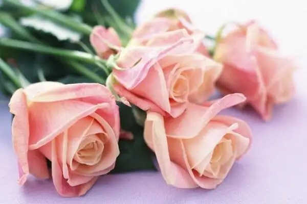 『爱满分2019』重疾险及格了吗？