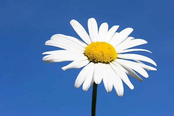 异地投保须知！这些小细节要注意