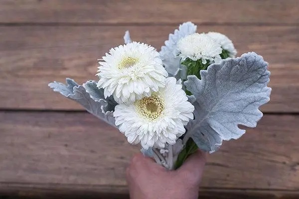 一个可以应对癌症高发的保险组合