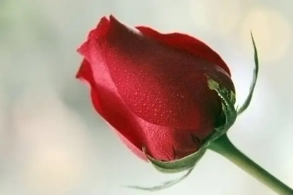 住房公积金不知道怎么用？我教你