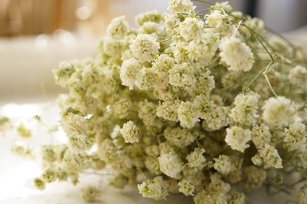 生育险和社保合并后，你的生活将会发生什么改变？