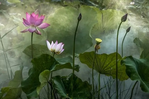 人生不能错过的叫保险