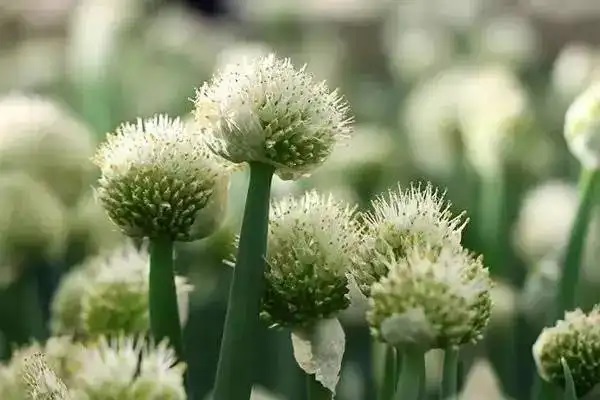 购买保险需要360度无死角吗？