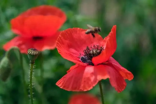 2019年医疗保险可以异地结算