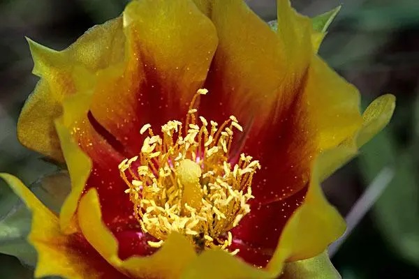 定期体检很重要