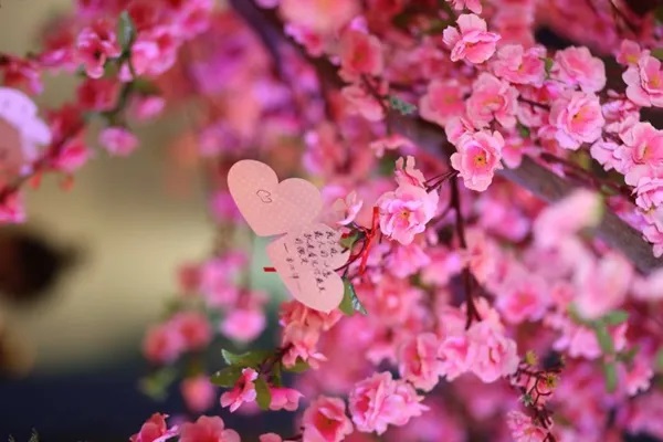 保险的种类有哪些？