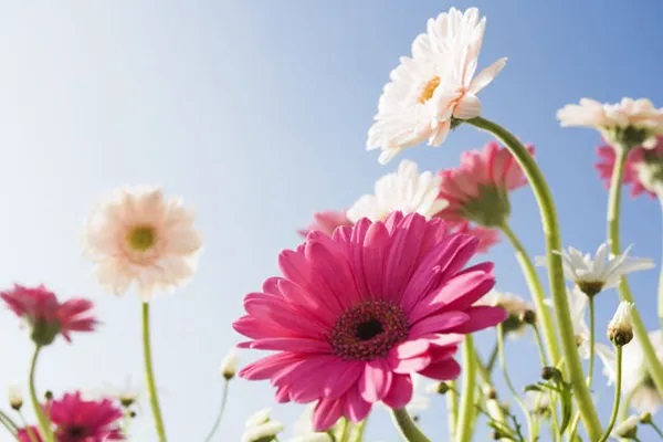 中国保险现状，你不知道的真实现象？