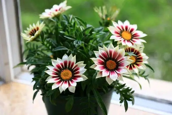 这样做，看病可以不花什么钱！