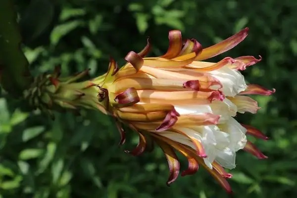 商业保险的作用有哪些？商业保险的4大作用