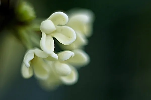 怎样进行人工核保却不留拒保记录？