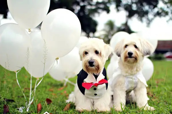 乙肝患者投保技巧，我是这样顺利买到保险的！