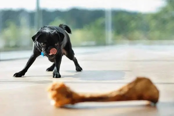 去哪找一个靠谱的保险代理人？