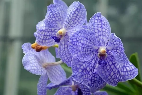 关于保险与异地就医的那些事