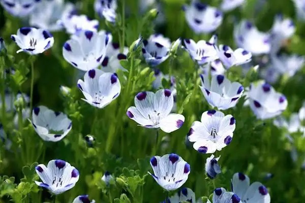 一个最民生的问题——异地医保如何报销？能报多少？