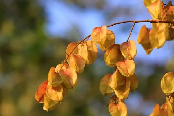 适合孩子购买的四款住院医疗险