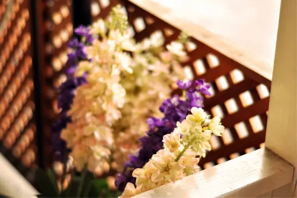 女性常见疾病买不了保险怎么办？