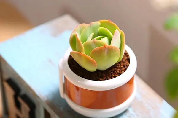 年收入10万的家庭怎样设计家庭保险方案？