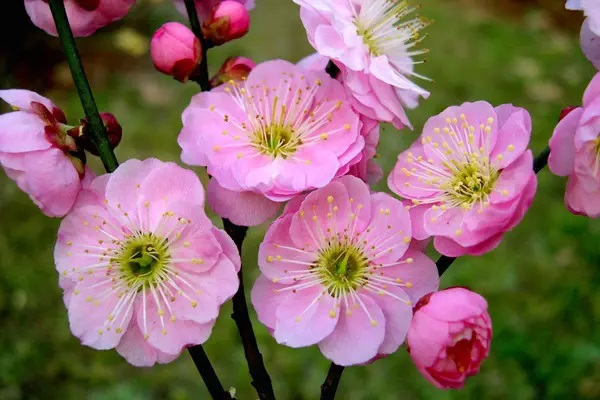 乙肝患者投保新技巧：教您成功买到保险