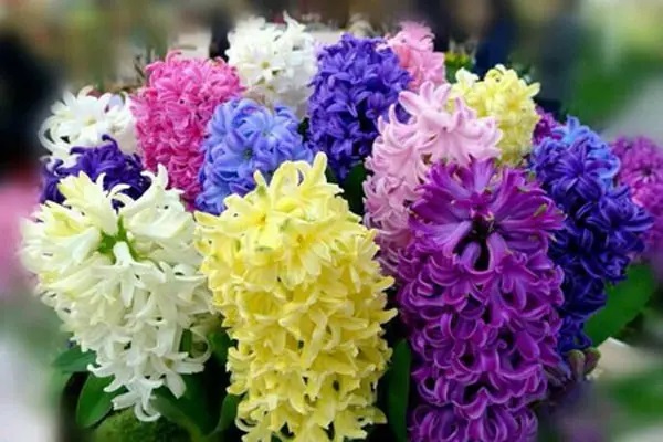 这些意外险赔不赔，你要自己看好了